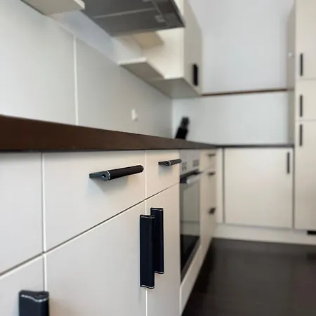 Historical Luxury Homes - Familiensuite Mit Terrasse * Freiburg im Breisgau